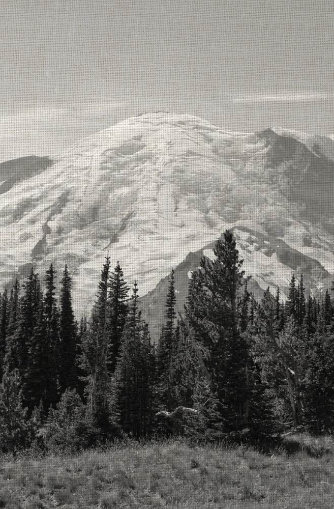 Mount Rainier Black & White Cover - 5.2 x 8.2in Journal