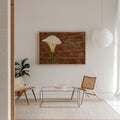 A framed wall art print featuring a white calla lily on a brown wood-textured background with a Bible verse, displayed in a bright, modern living room setting with two woven chairs and a glass coffee table.