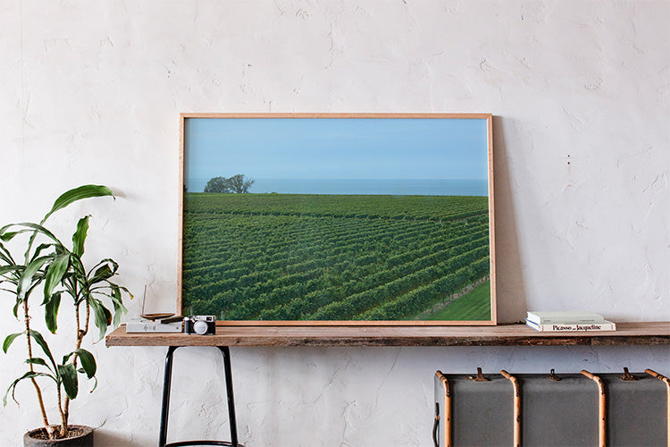 A framed landscape art print of a green vineyard under a blue sky, displayed on a wooden console table against a textured white wall, next to a potted plant.