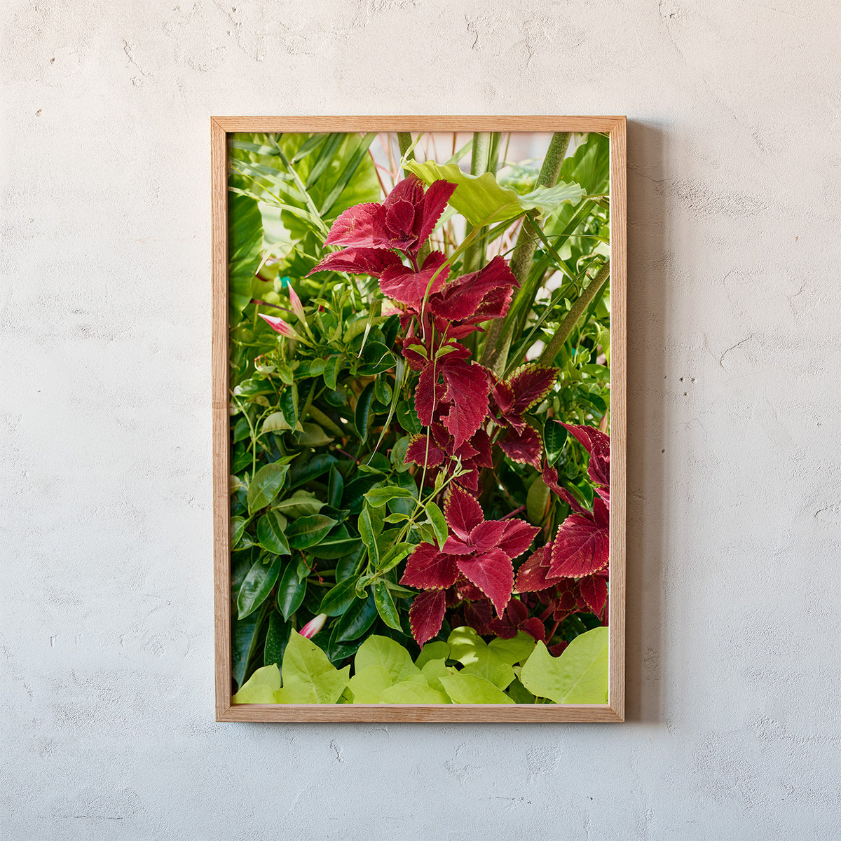 A framed botanical art print featuring vibrant red and green foliage, mounted on a textured light gray plaster wall.