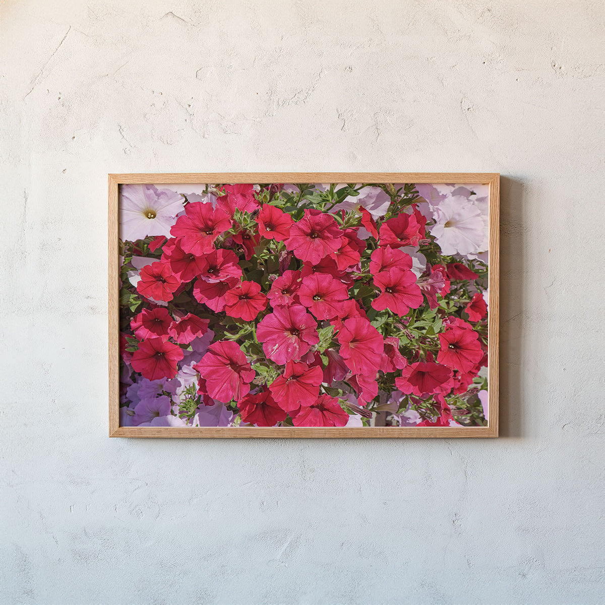 A framed floral art print featuring vibrant pink and red petunias with green leaves, mounted on a textured off-white plaster wall.