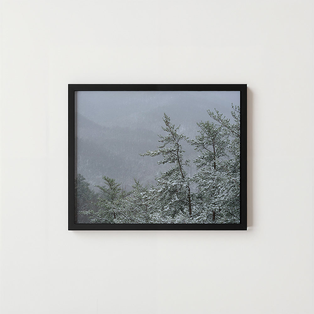 A square black-framed art print depicting snow-covered pine trees in a misty, gray winter landscape, mounted on a clean white wall.