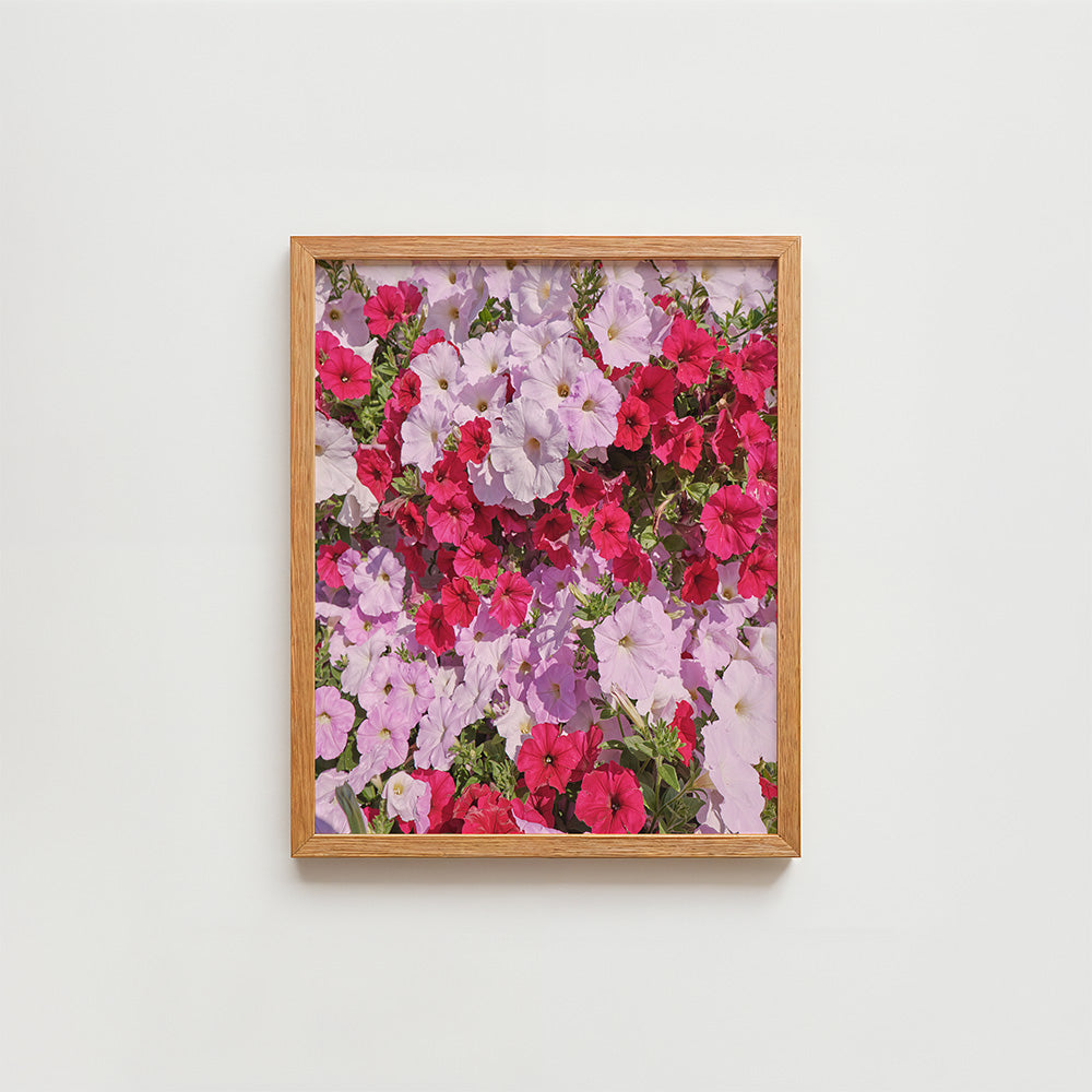 A framed floral art print featuring a dense arrangement of vibrant pink, red, and light purple flowers with green foliage, enclosed in a light oak wood frame and mounted on a plain white wall.